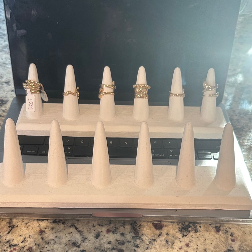 Ring display organizer